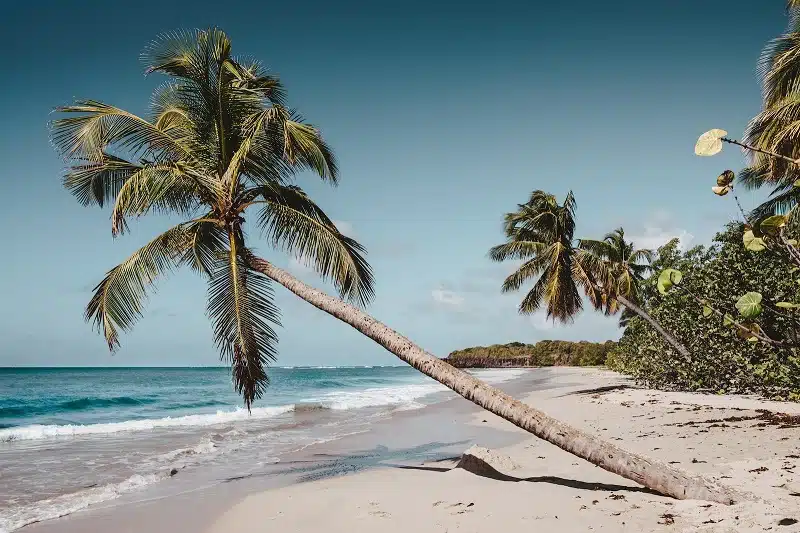 Comment gérer le décalage horaire entre la Martinique et la France : conseils et astuces