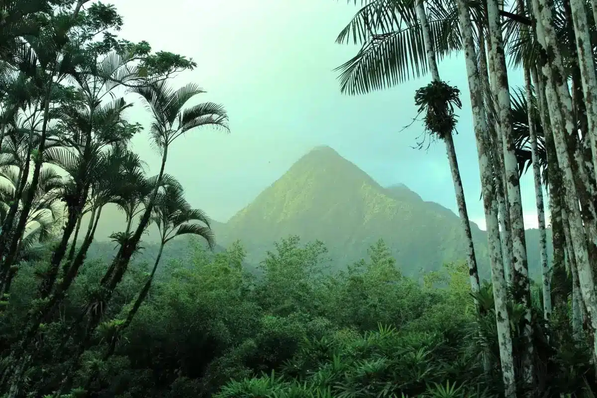 Comment gérer le décalage horaire entre la Martinique et la France : conseils et astuces